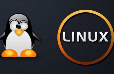 Как послать udp пакет linux